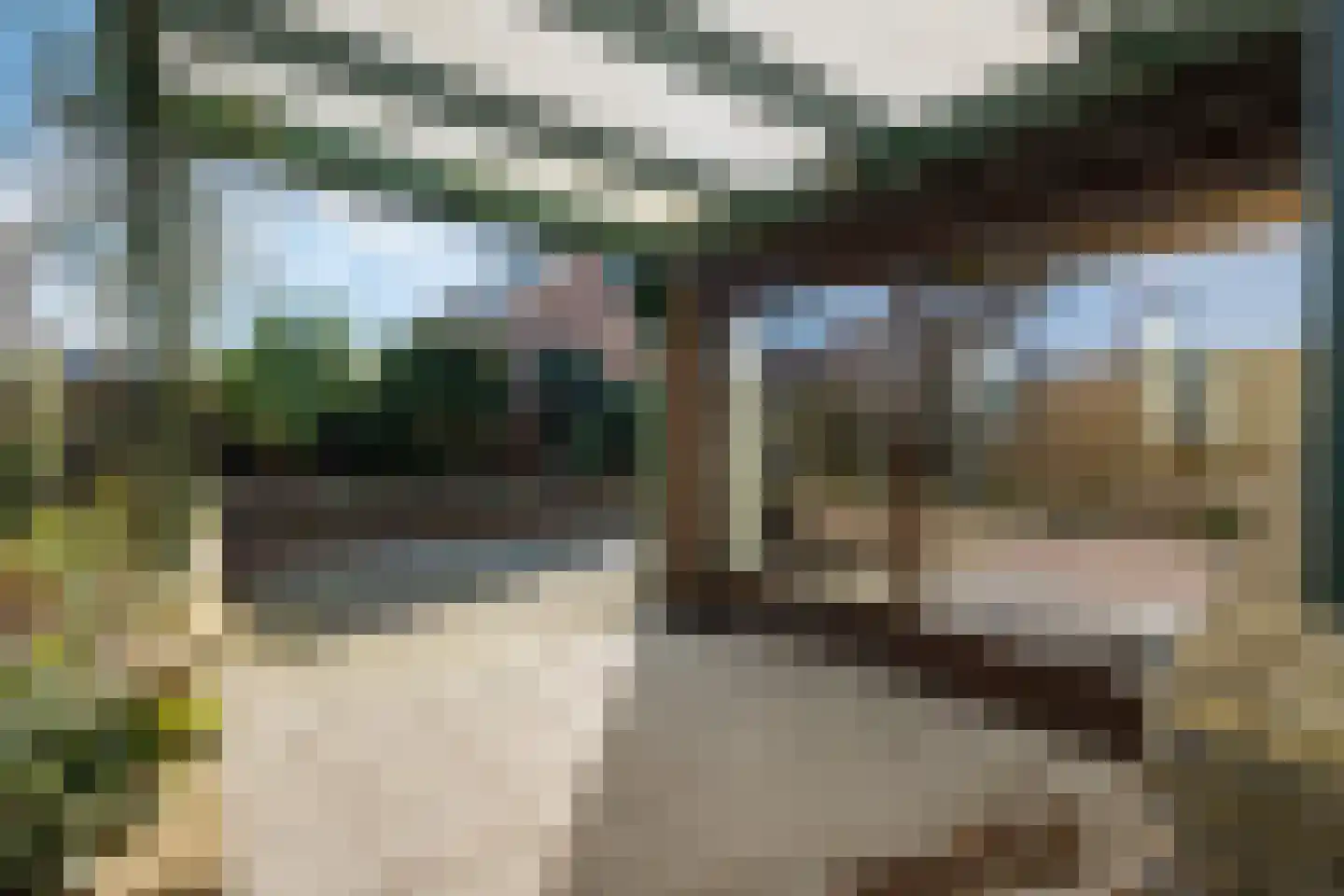 Walker 7 Delfzijl thumbnail 16