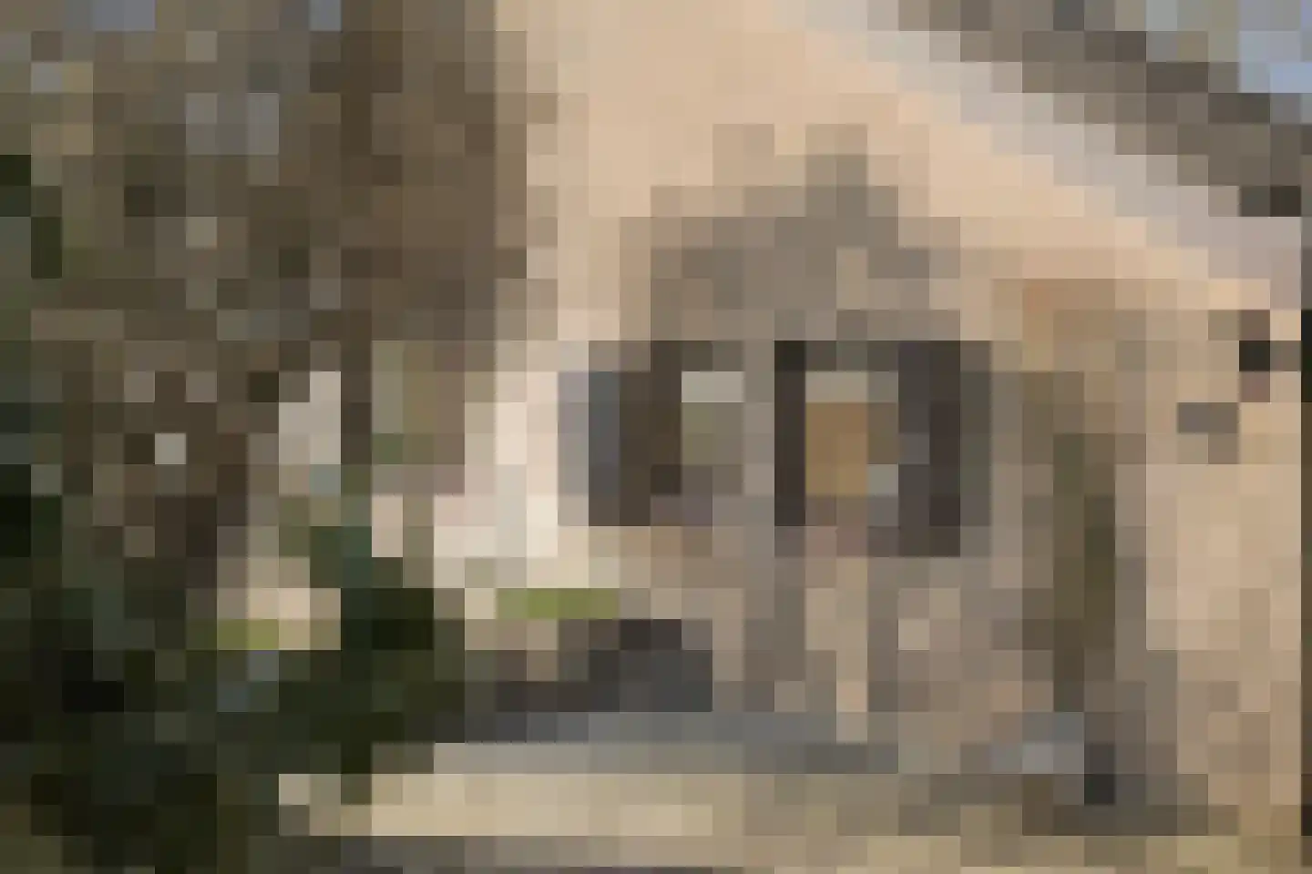 Walker 7 Delfzijl thumbnail 17