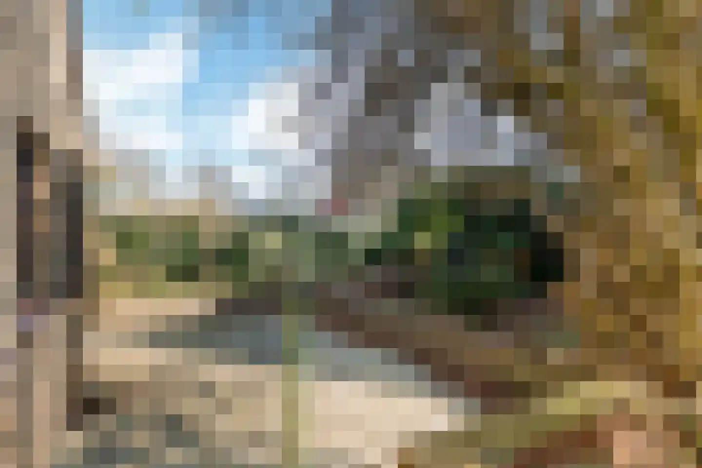 Walker 7 Delfzijl thumbnail 19