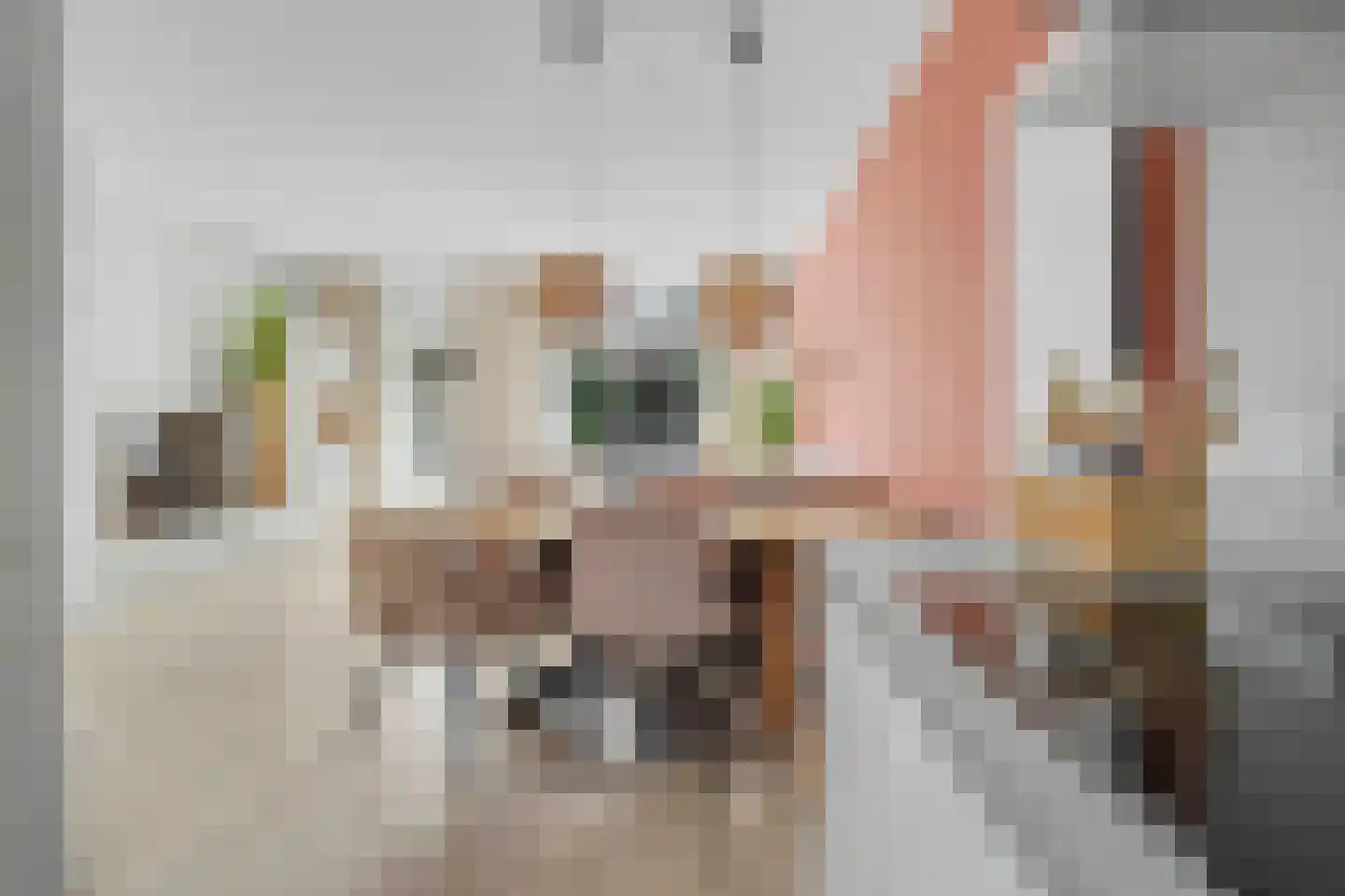 Walkottelanden 13 Enschede thumbnail 12