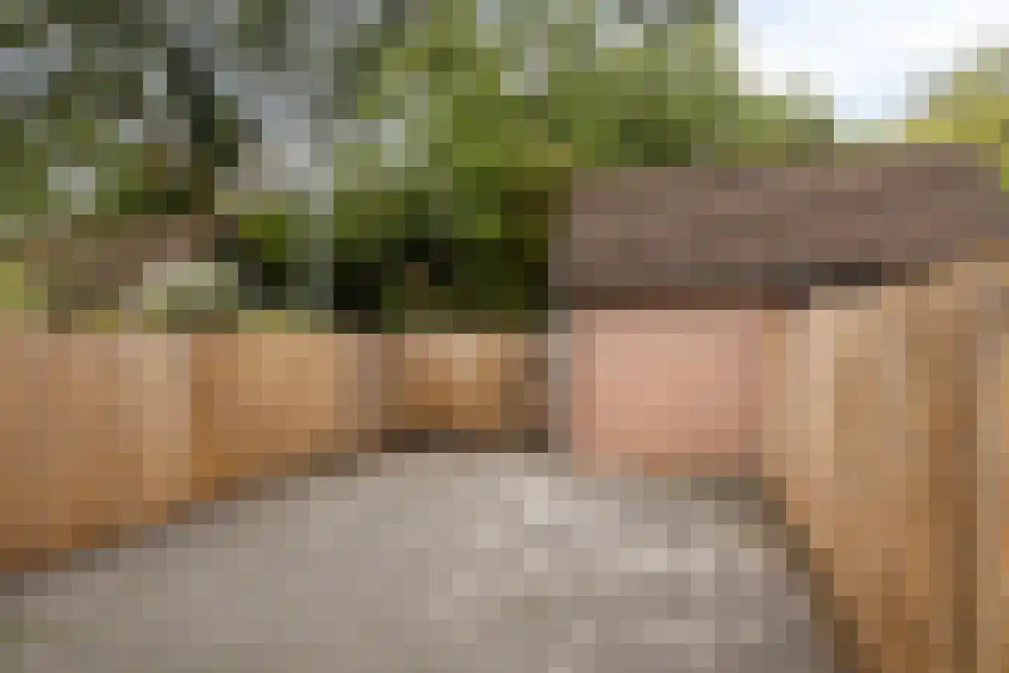 Walkottelanden 35 Enschede thumbnail 27