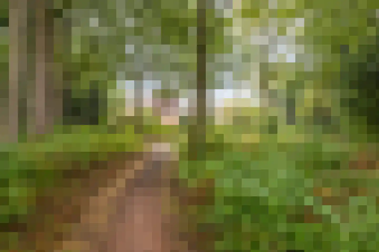 Walkottelanden 35 Enschede thumbnail 32