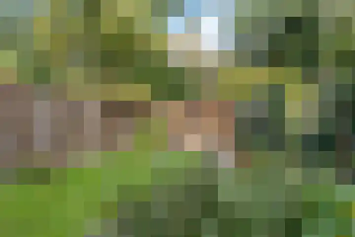 Walkottelanden 48 Enschede thumbnail 38
