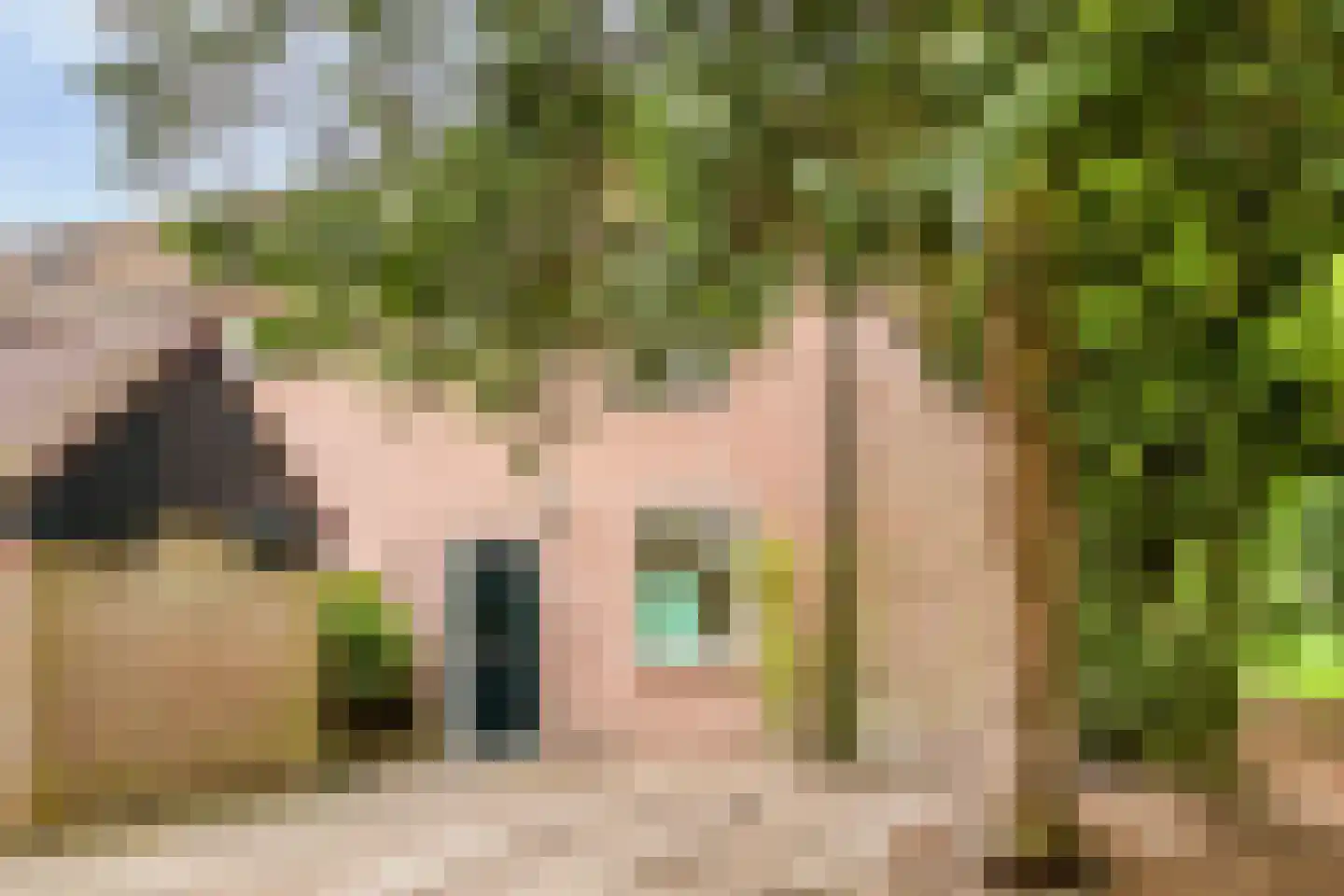 Walkottelanden 71 Enschede thumbnail 35