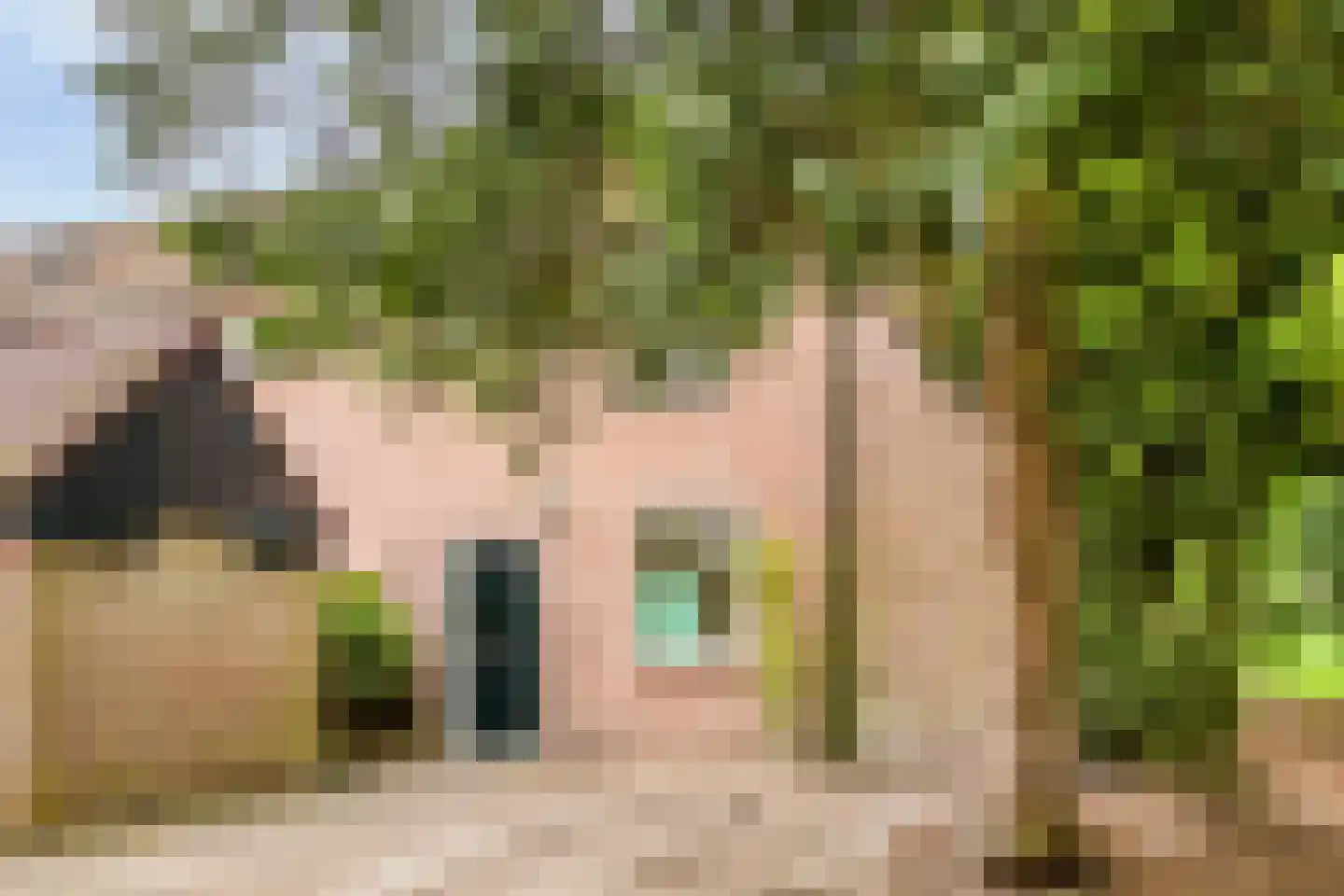 Walkottelanden 71 Enschede thumbnail 35