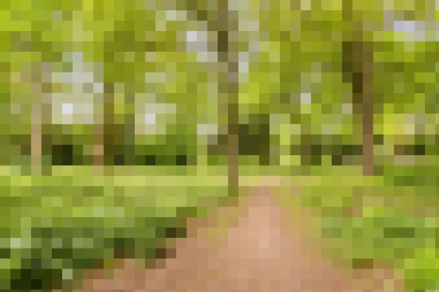 Walkottelanden 71 Enschede thumbnail 4