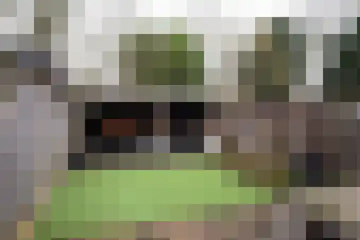 Walkottelanden 96 Enschede thumbnail 27