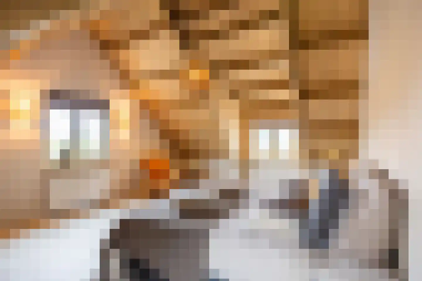 Walkumaweg 14 Garsthuizen thumbnail 12