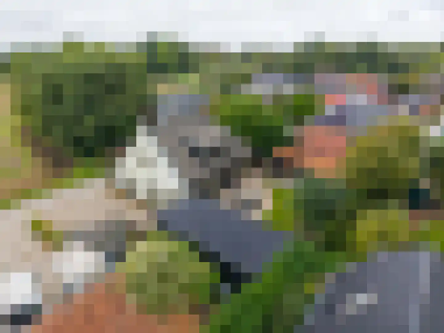 Walkumaweg 14 Garsthuizen thumbnail 74
