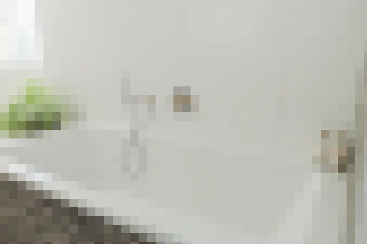 Walkvat 58 Alphen thumbnail 34