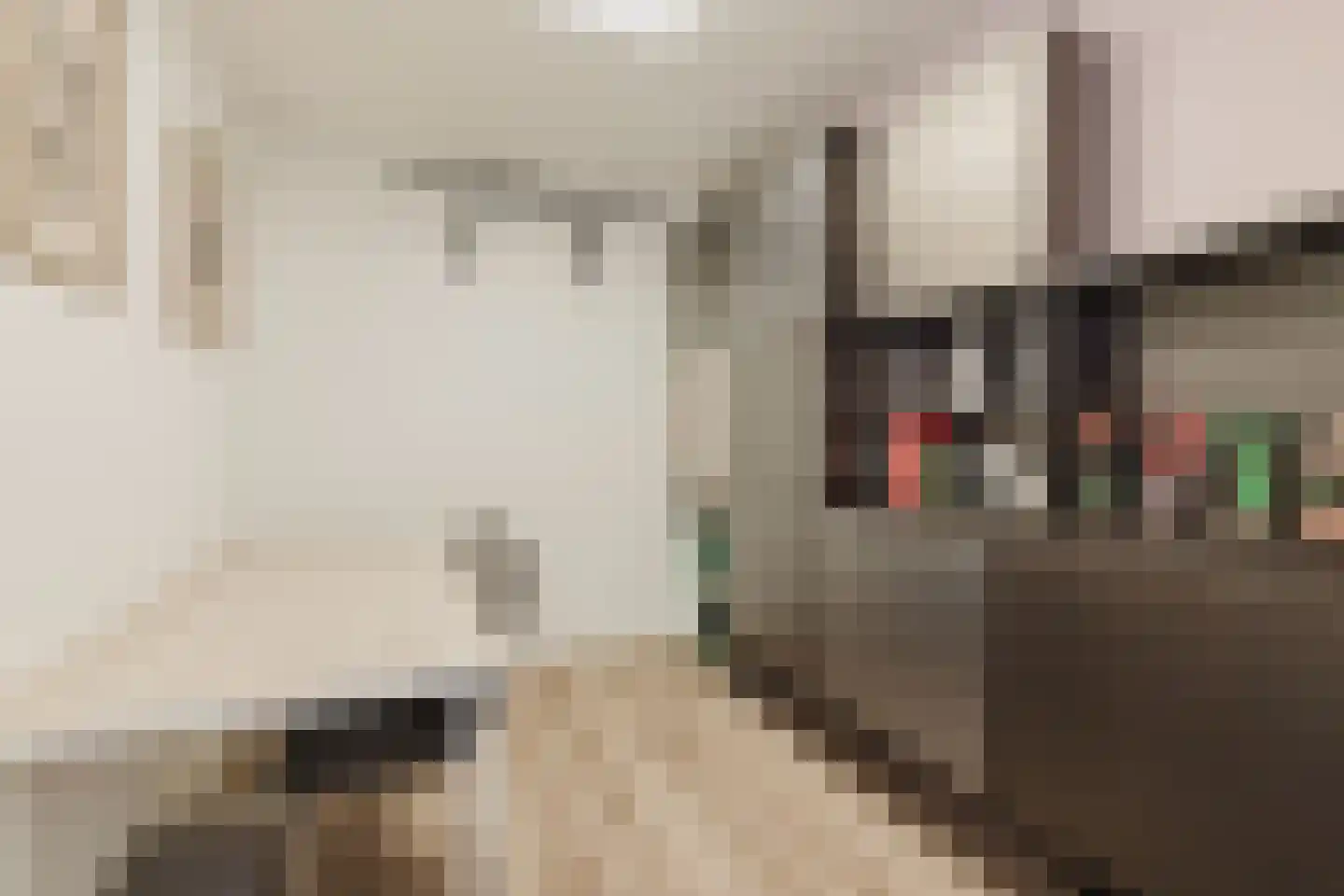 Walkvat 58 Alphen thumbnail 43
