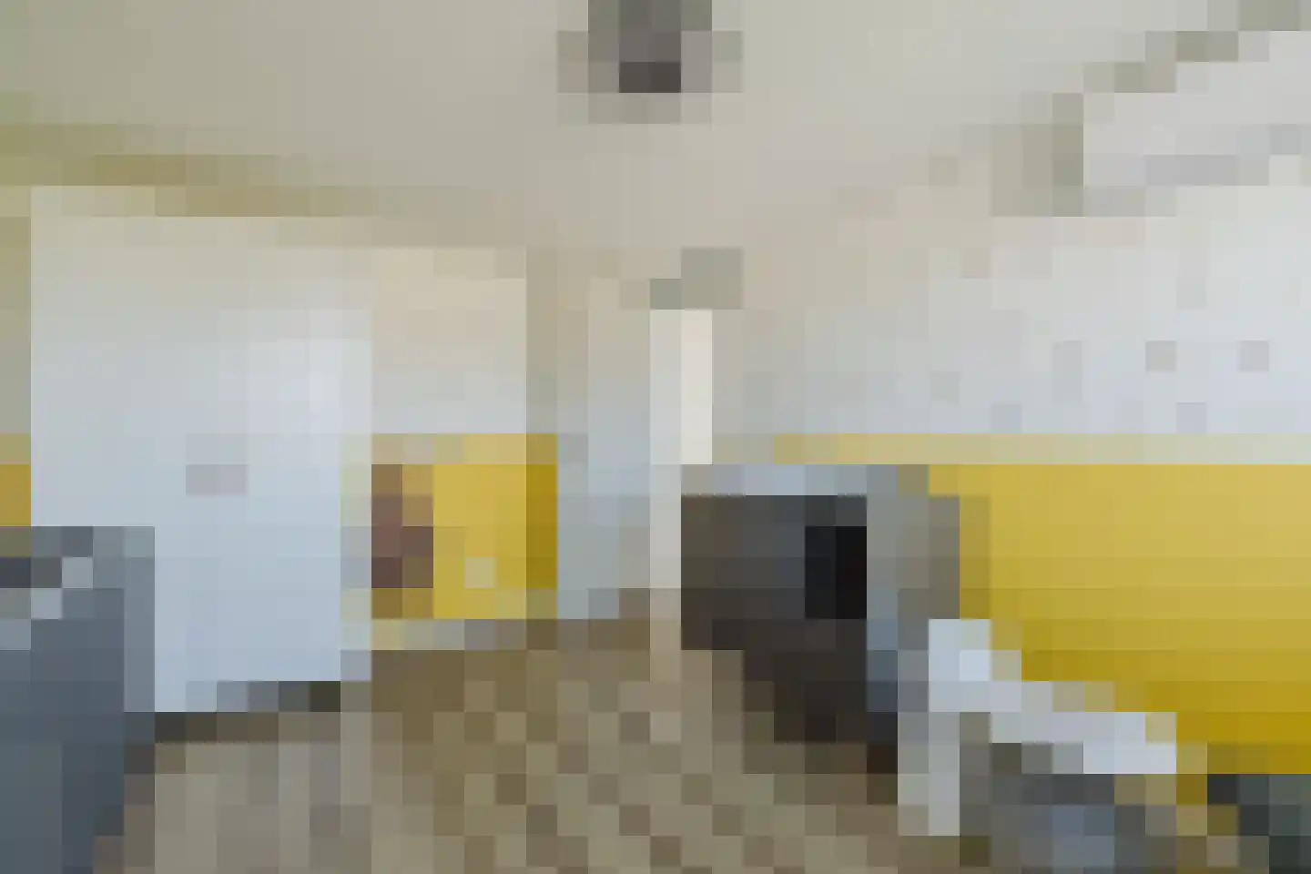 Walkvat 58 Alphen thumbnail 47