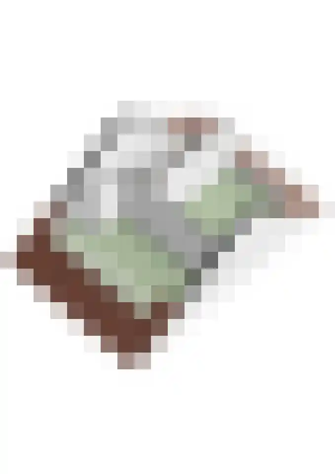 Walkvat 58 Alphen thumbnail 58