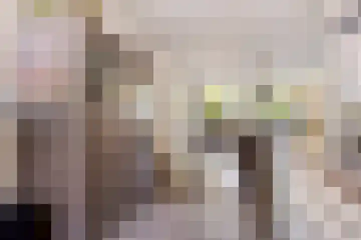Walkvat 64 Alphen thumbnail 10