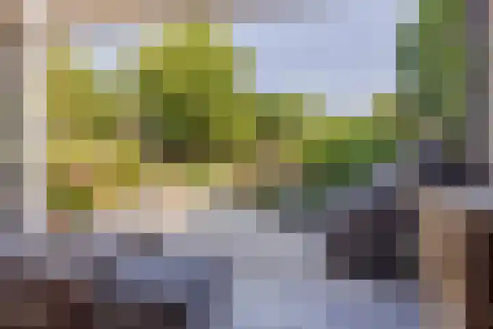 Walkvat 64 Alphen thumbnail 21