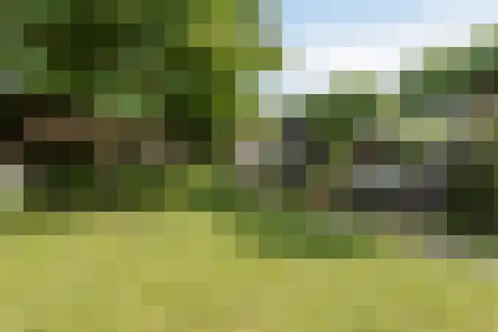 Walkvat 64 Alphen thumbnail 24