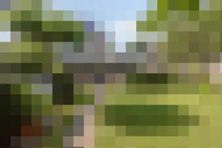 Walkvat 64 Alphen thumbnail 25