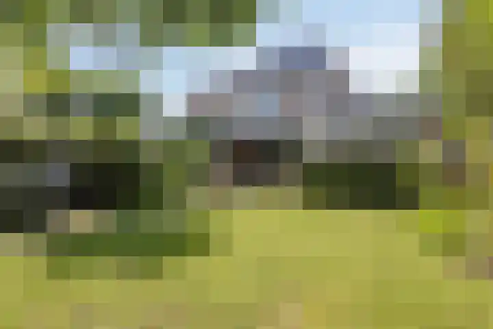 Walkvat 64 Alphen thumbnail 26