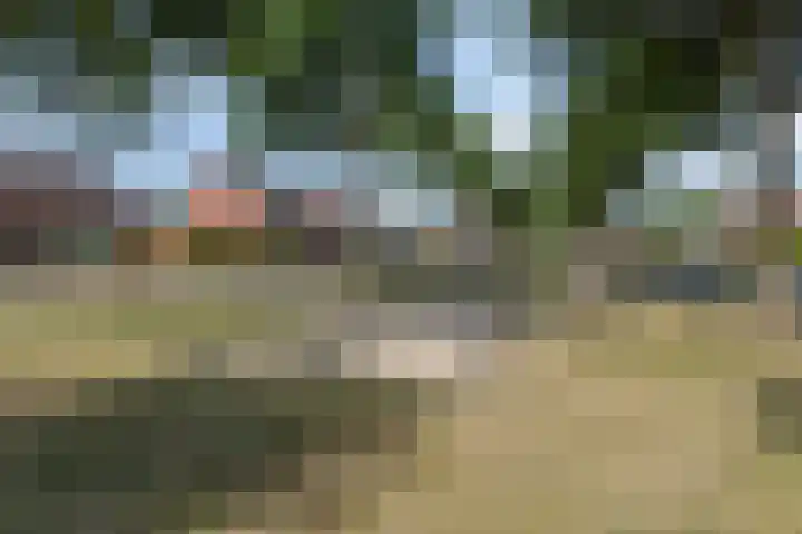 Walkvat 64 Alphen thumbnail 28