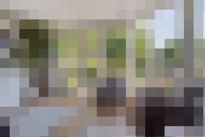 Walkvat 64 Alphen thumbnail 6