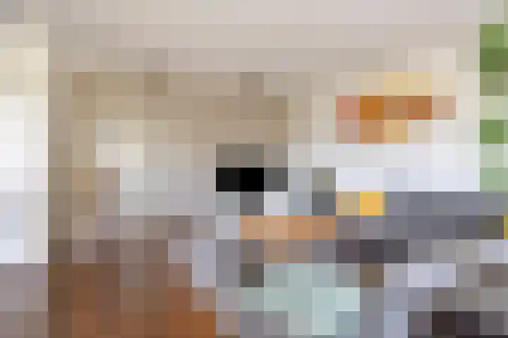 Walkvat 64 Alphen thumbnail 7