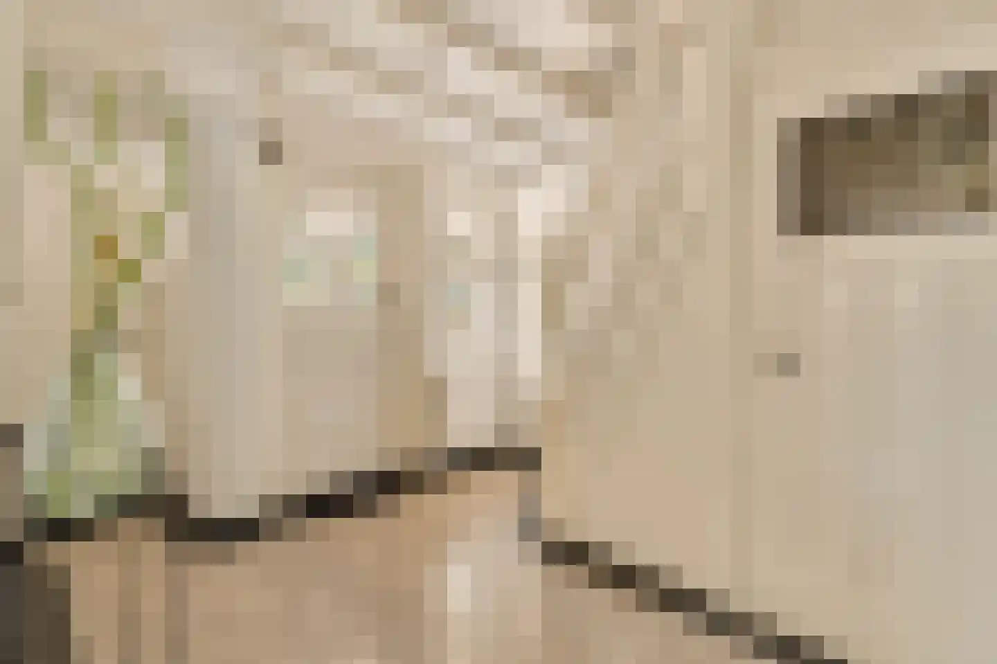 Wallandlaan 3 Blaricum thumbnail 11