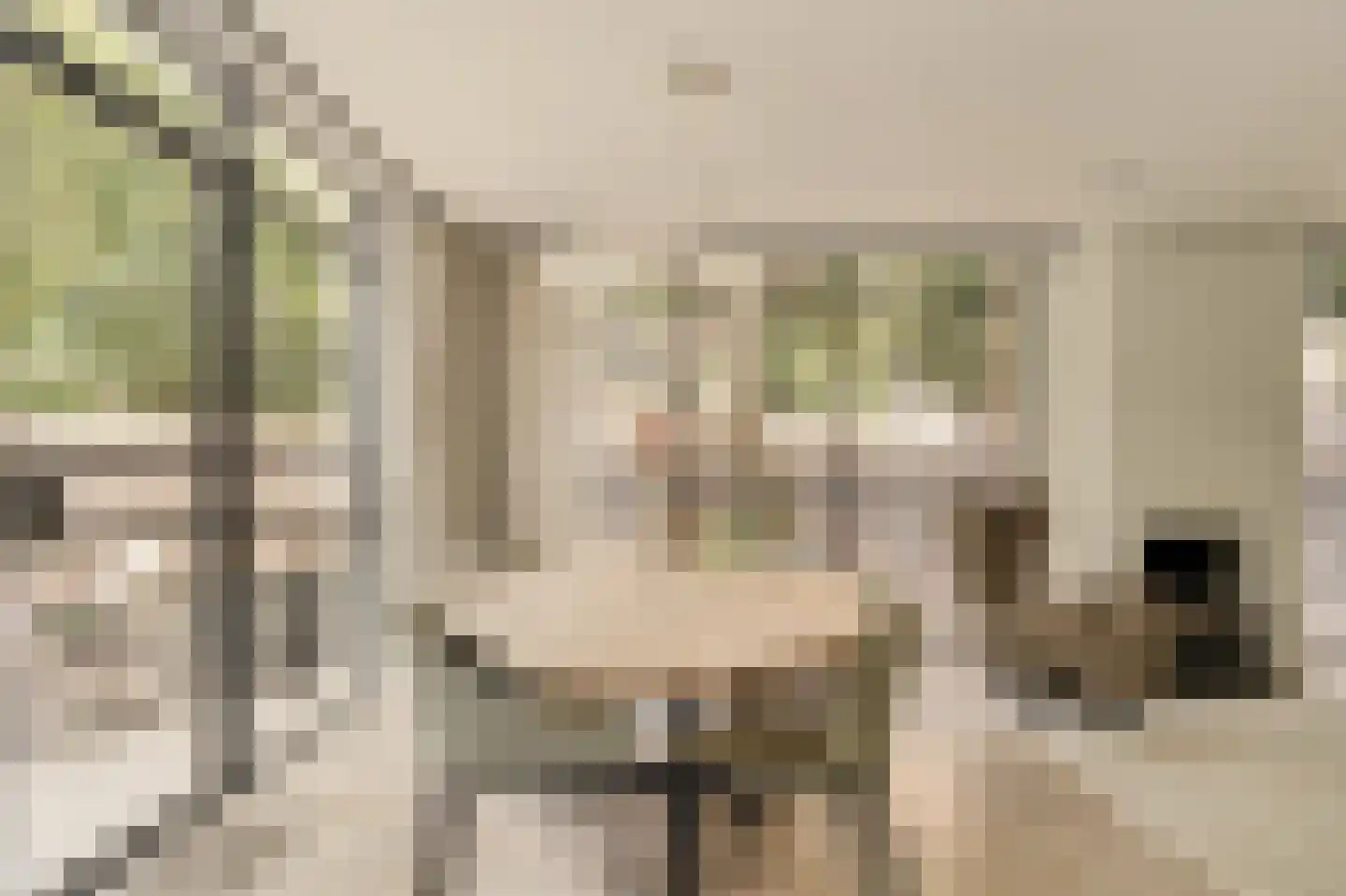 Wallandlaan 3 Blaricum thumbnail 16