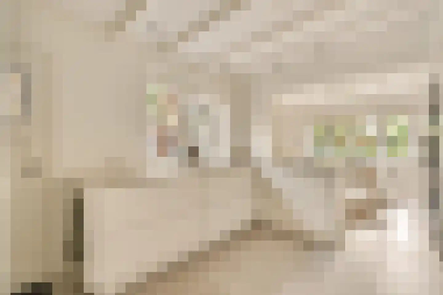 Wallandlaan 3 Blaricum thumbnail 24
