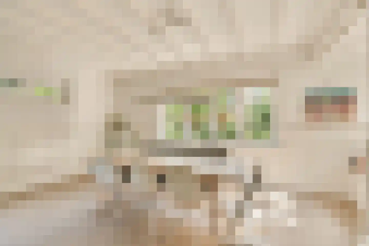Wallandlaan 3 Blaricum thumbnail 30
