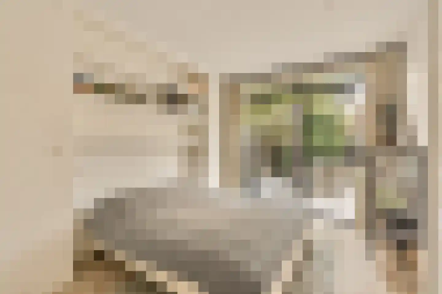 Wallandlaan 3 Blaricum thumbnail 33