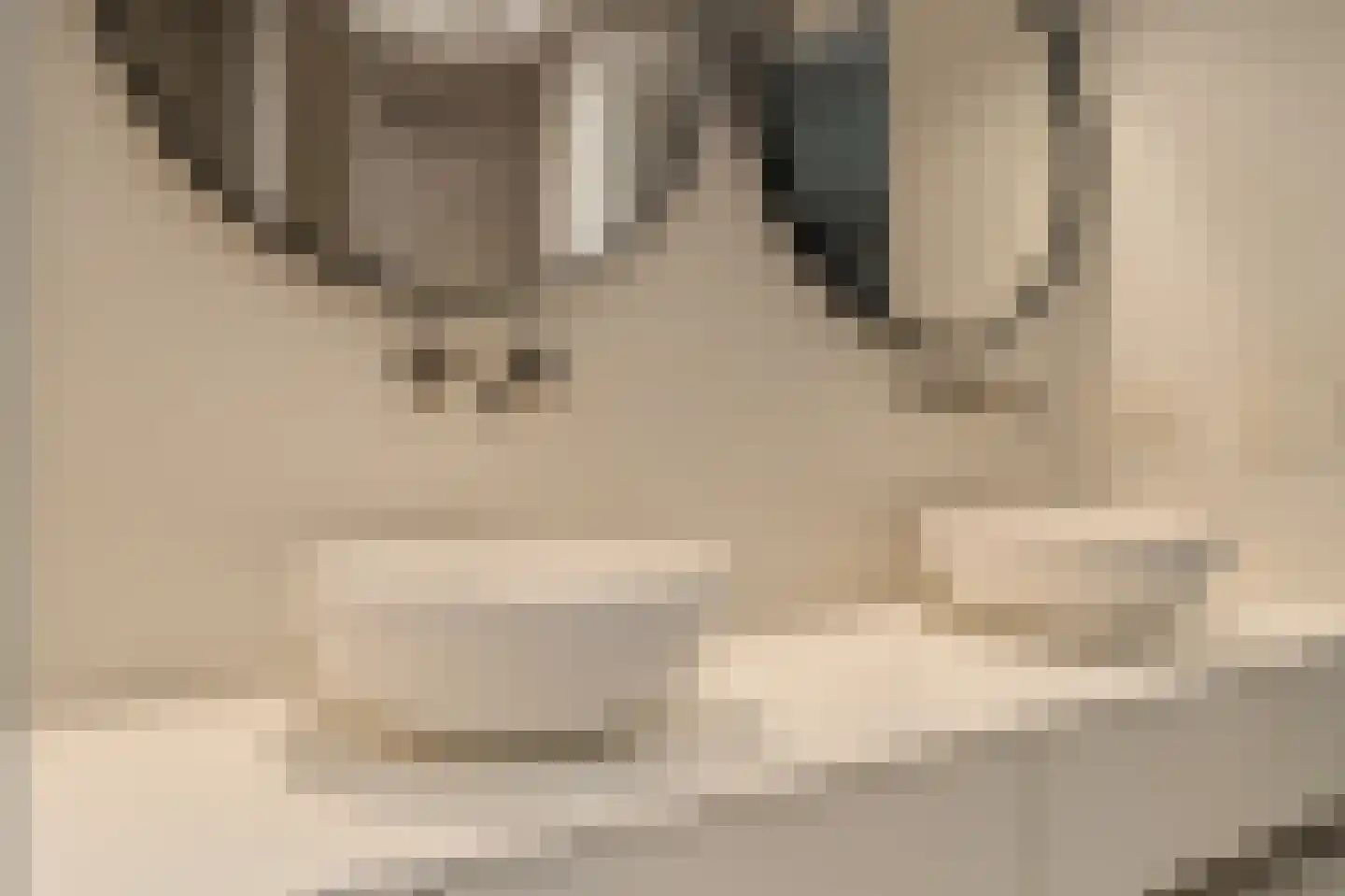 Wallandlaan 3 Blaricum thumbnail 37