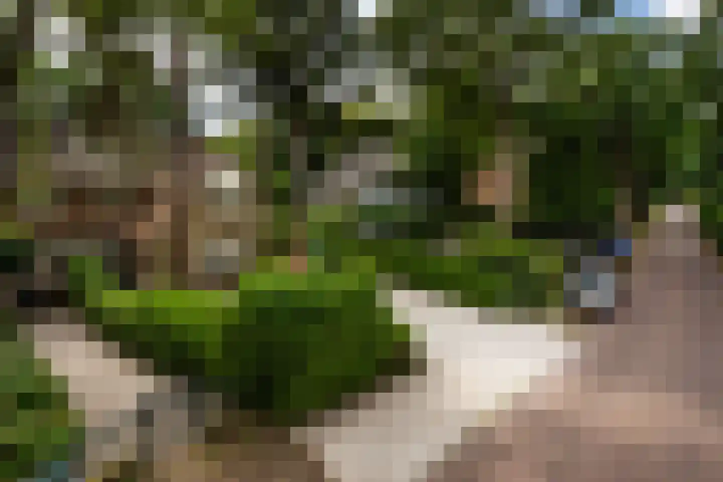 Wallandlaan 3 Blaricum thumbnail 4