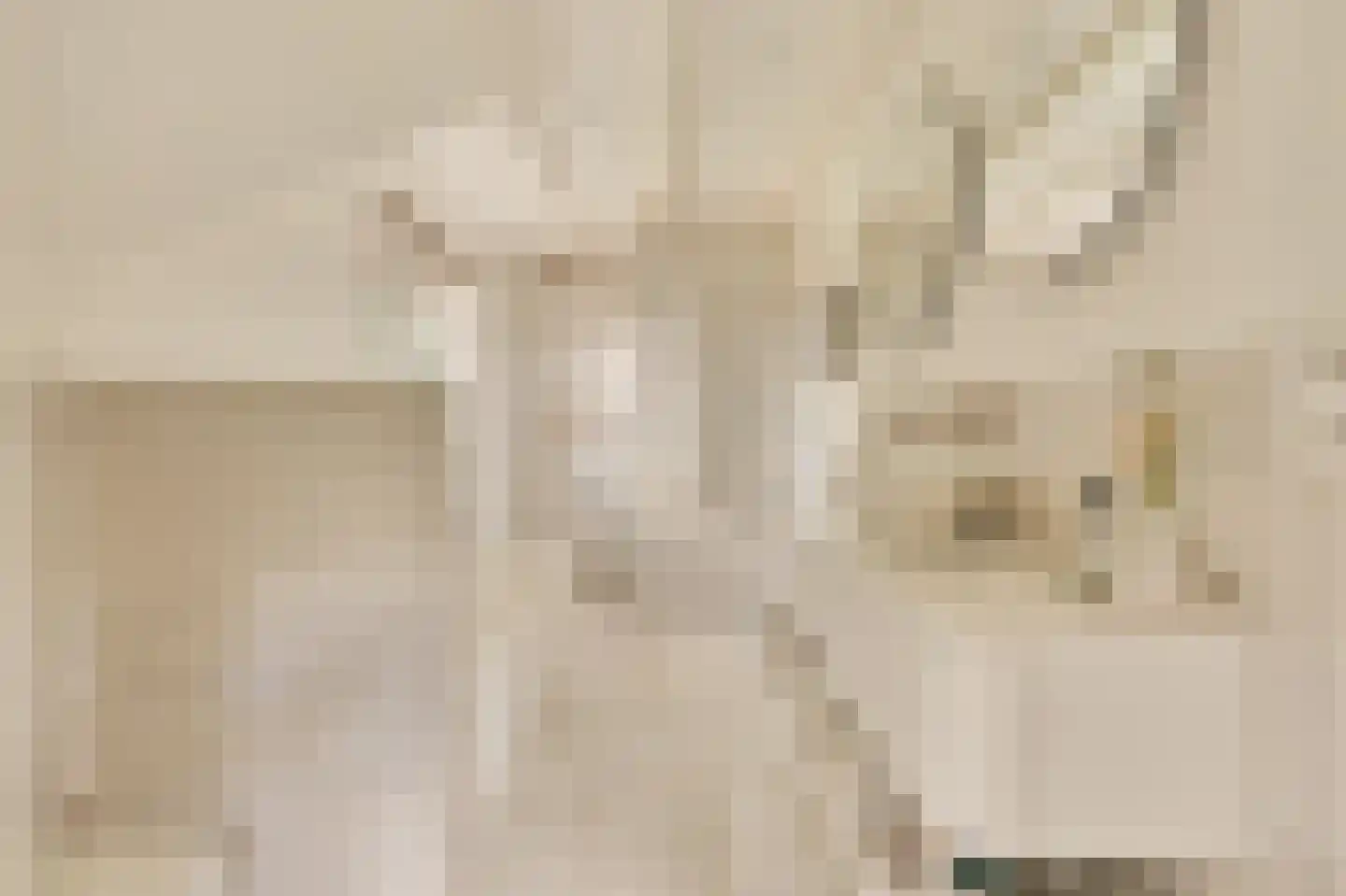 Wallandlaan 3 Blaricum thumbnail 45