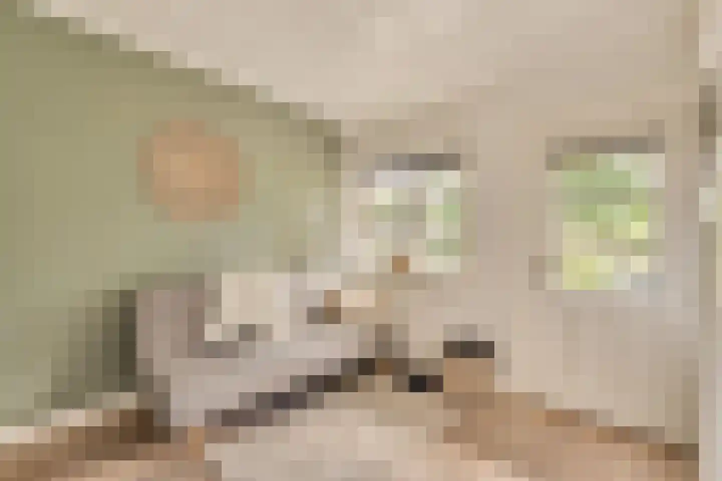 Wallandlaan 3 Blaricum thumbnail 49