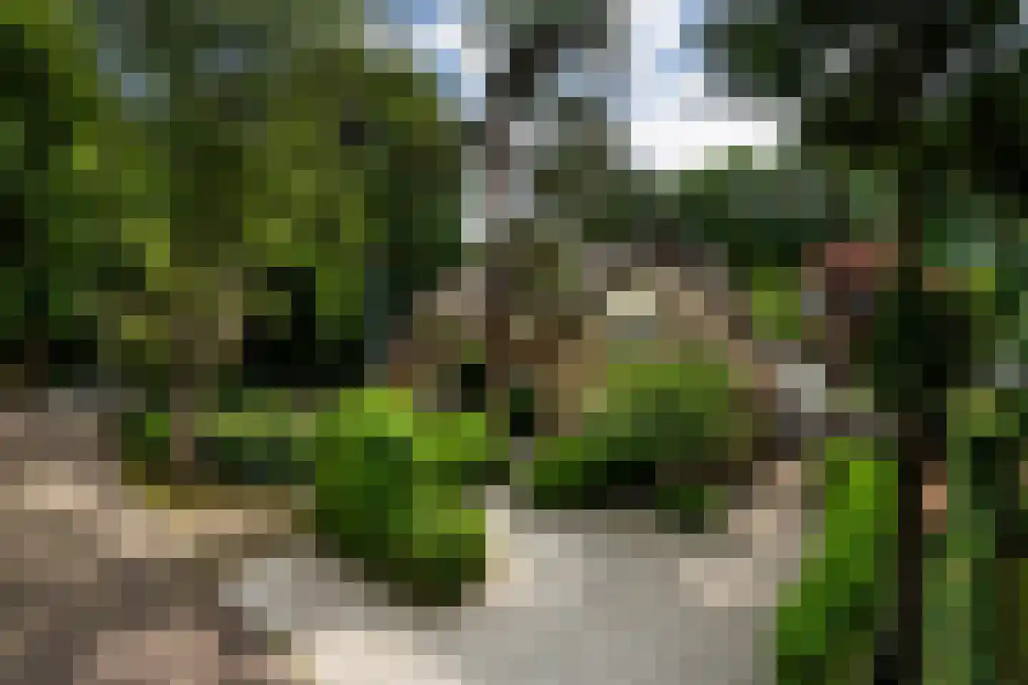 Wallandlaan 3 Blaricum thumbnail 5