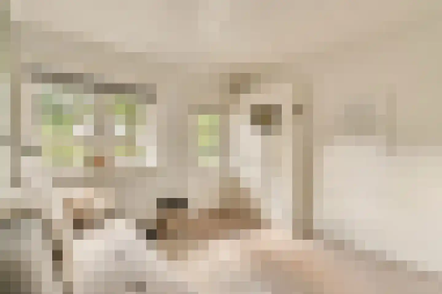 Wallandlaan 3 Blaricum thumbnail 50