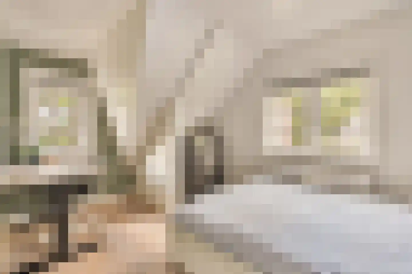 Wallandlaan 3 Blaricum thumbnail 52
