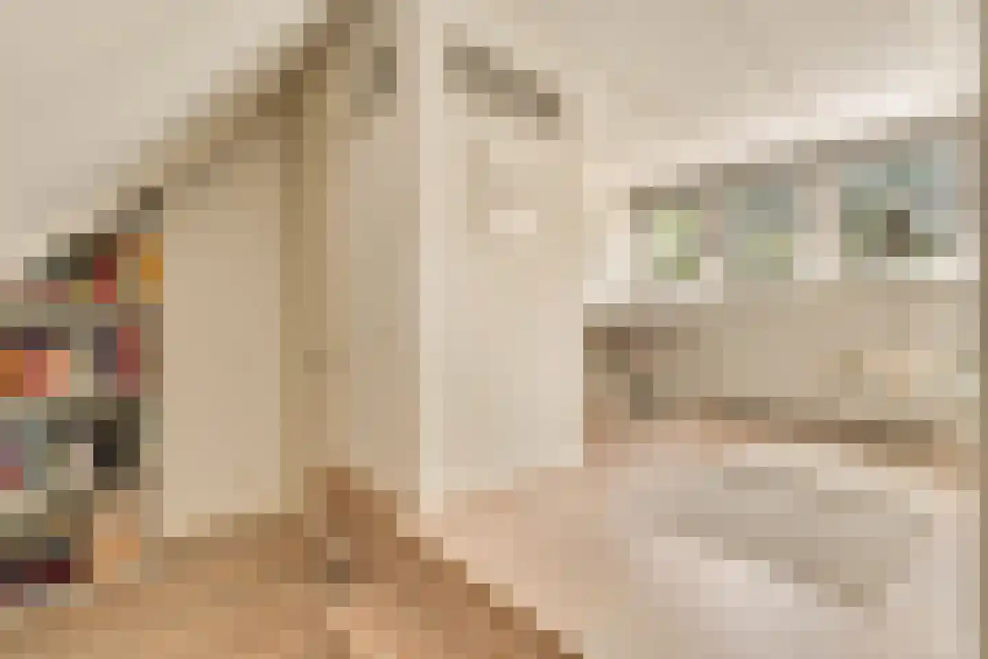 Wallandlaan 3 Blaricum thumbnail 56