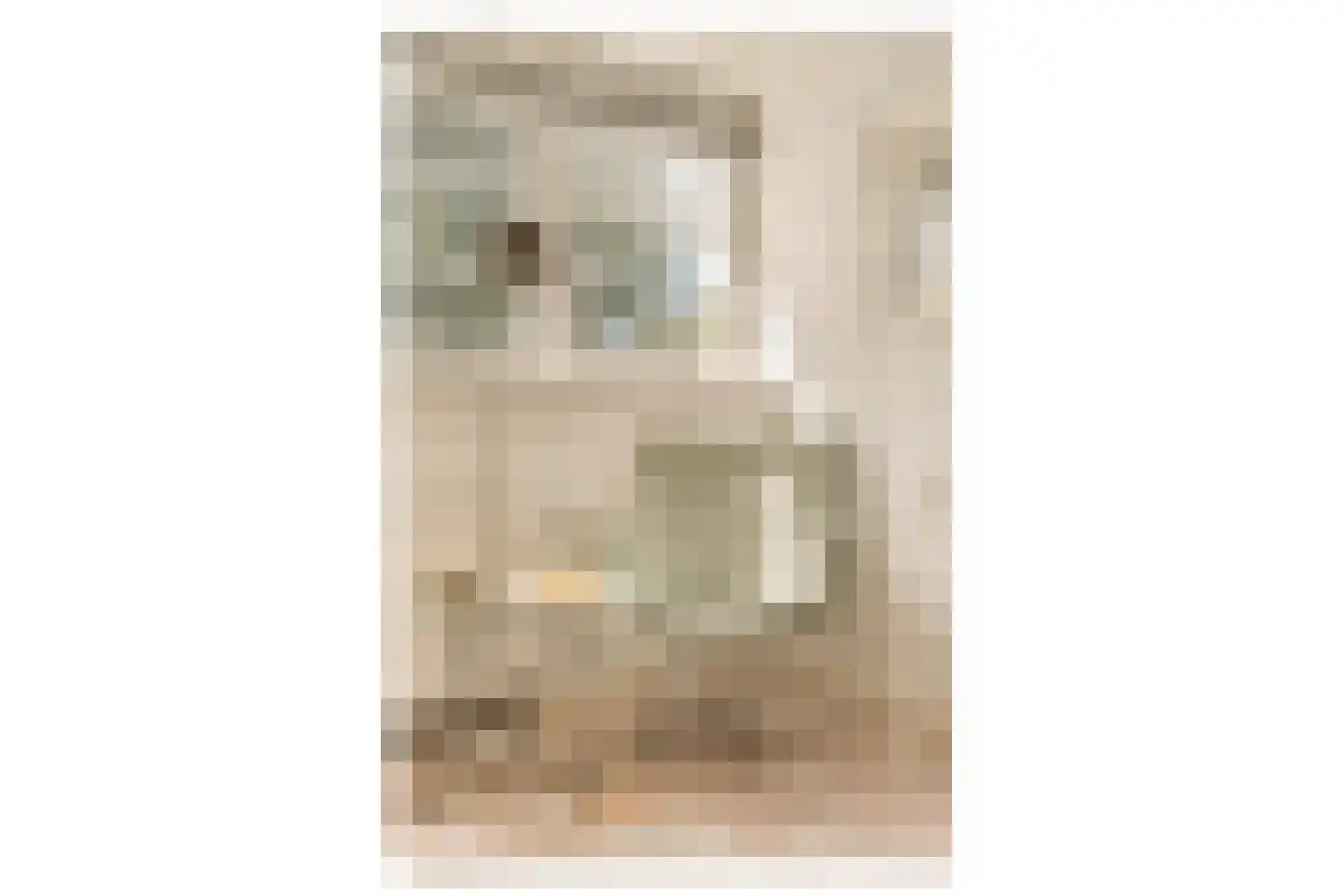 Wallandlaan 3 Blaricum thumbnail 59