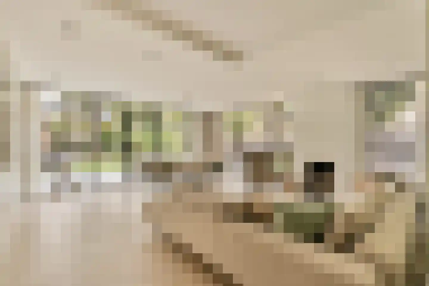 Wallandlaan 3 Blaricum thumbnail 6