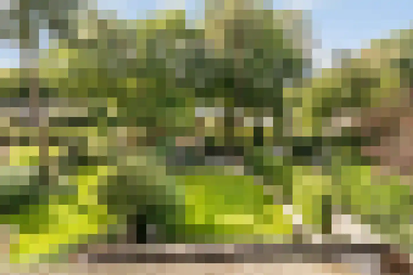 Wallandlaan 3 Blaricum thumbnail 61