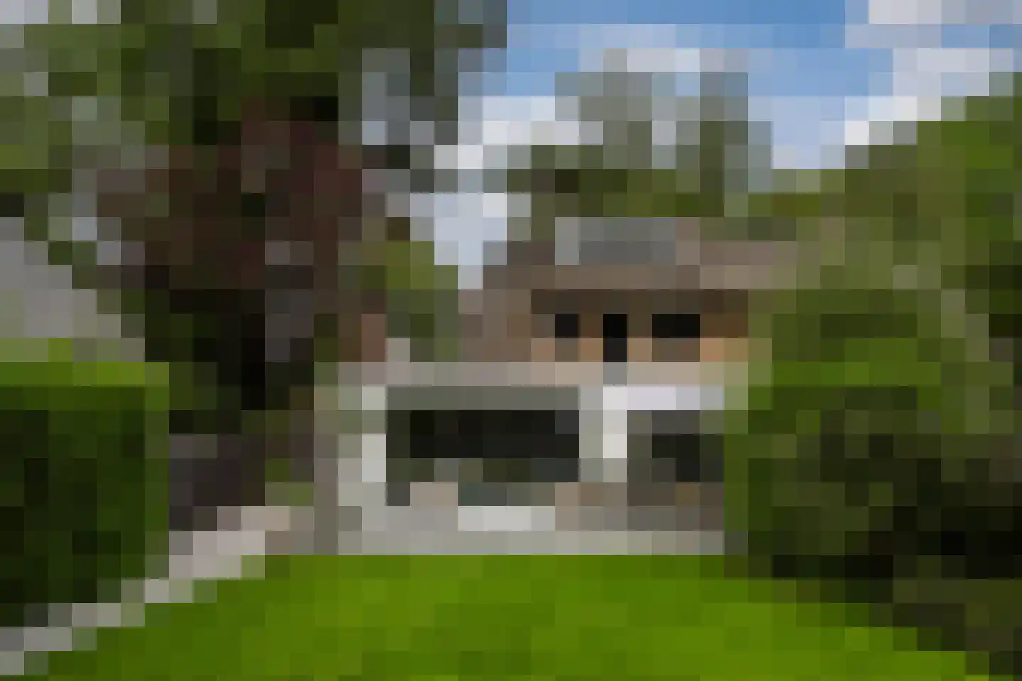 Wallandlaan 3 Blaricum thumbnail 62