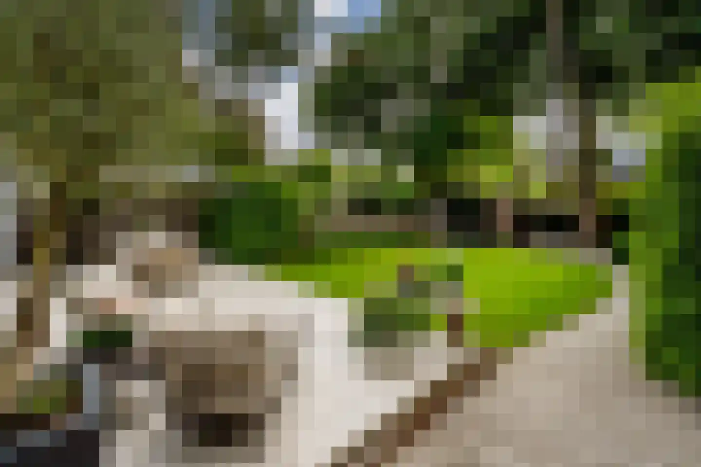 Wallandlaan 3 Blaricum thumbnail 64