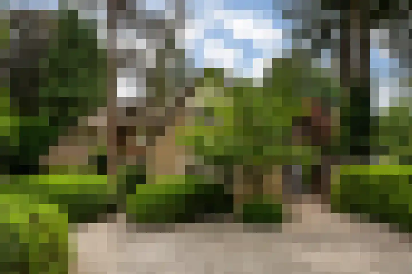 Wallandlaan 3 Blaricum thumbnail 7