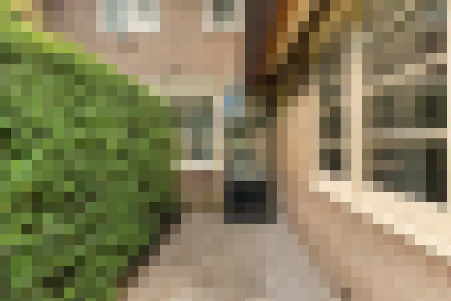 Wallandlaan 3 Blaricum thumbnail 8