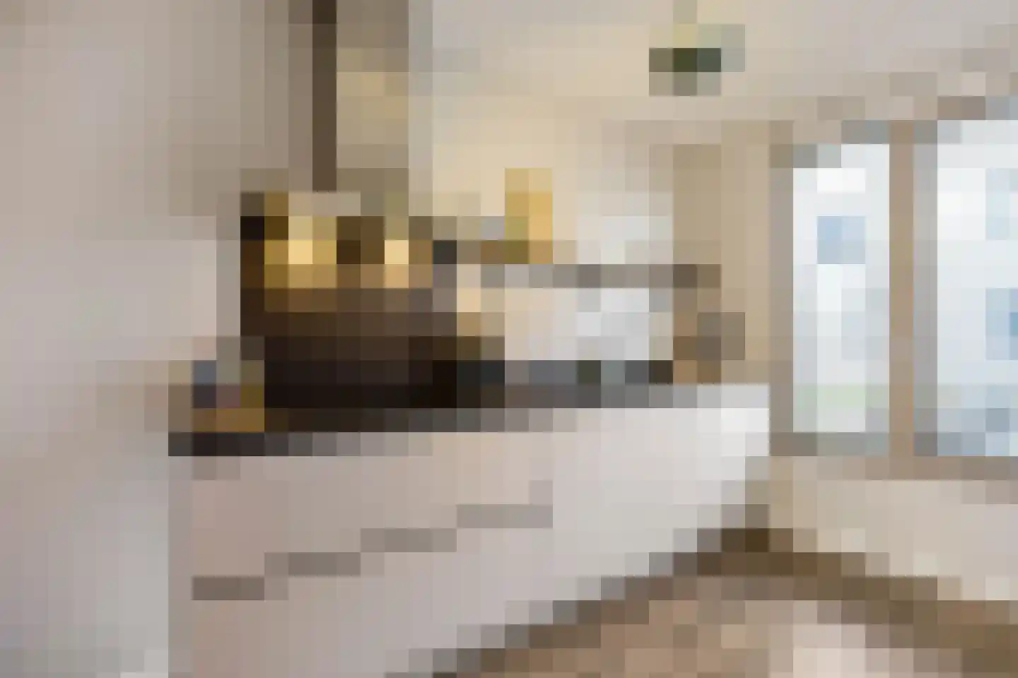 Wallegang 11 Groningen thumbnail 11