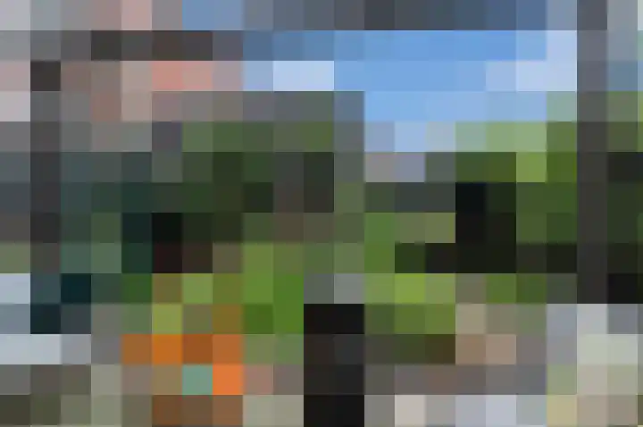 Wallegang 15 Groningen thumbnail 10