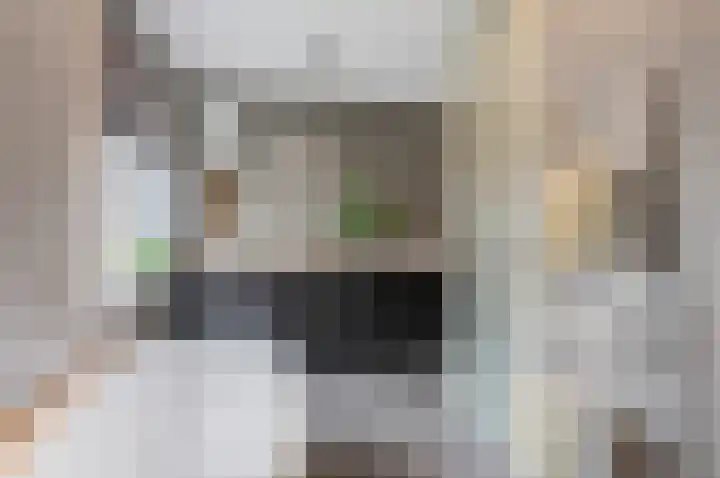 Wallegang 15 Groningen thumbnail 24