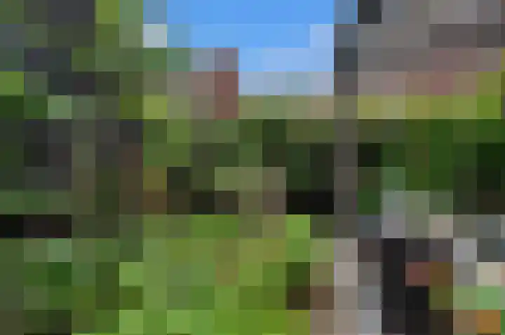 Wallegang 15 Groningen thumbnail 33