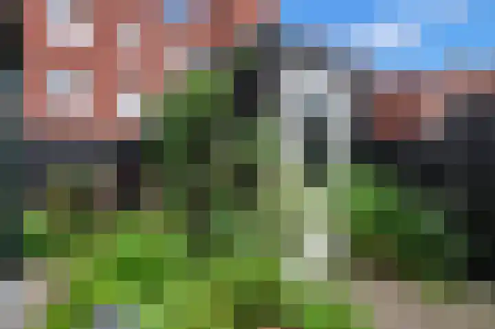 Wallegang 15 Groningen thumbnail 35